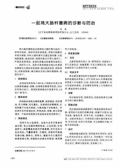 一起鸡大肠杆菌病的诊断与防治