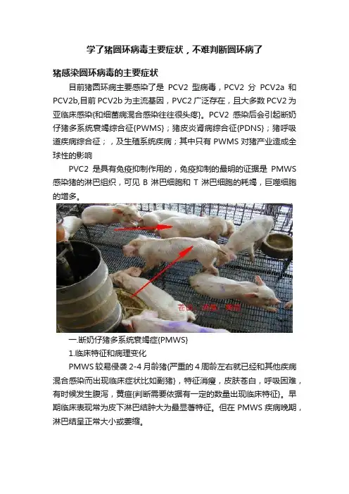 学了猪圆环病毒主要症状，不难判断圆环病了