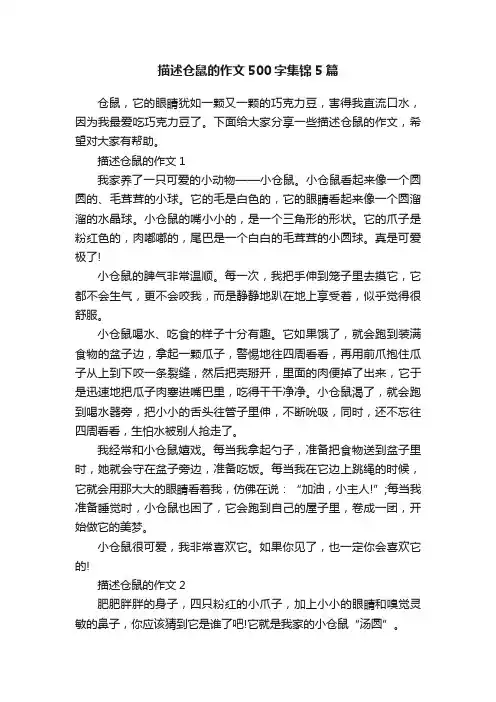 描述仓鼠的作文500字集锦5篇