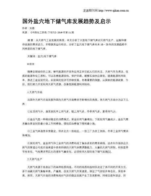 国外盐穴地下储气库发展趋势及启示