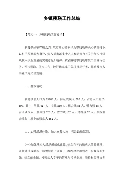 乡镇残联工作总结