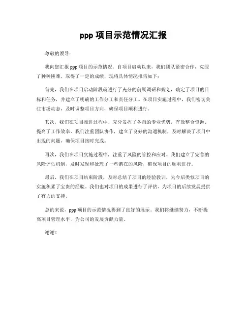 ppp项目示范情况汇报