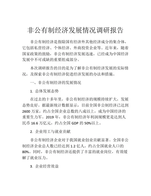 非公有制经济发展情况调研报告