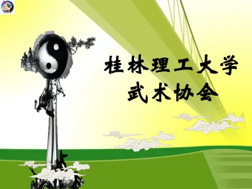武术协会星级评比答辩PPT(2014年)