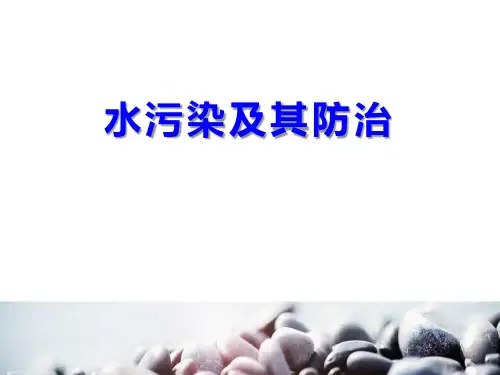人教版科学六年级下册《水污染及其防治》PPT教学课件教案