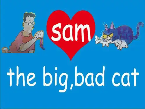 PEP人教版小学英语五年级下册《Sam the big bad cat》课件