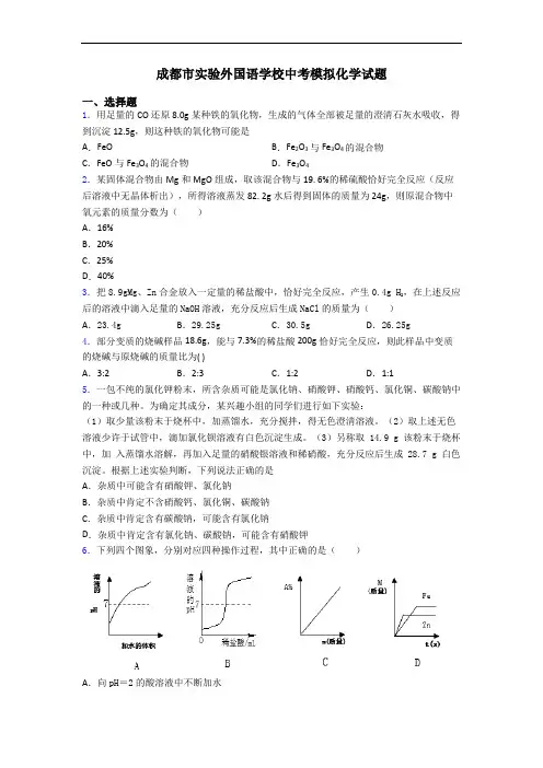 成都市实验外国语学校中考模拟化学试题