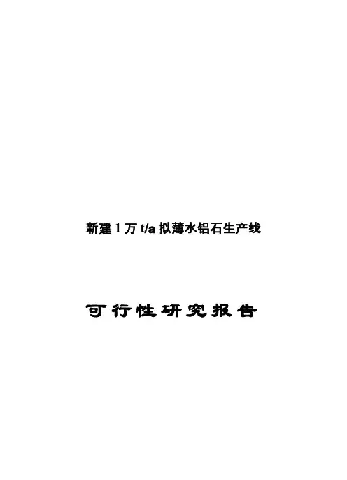 新建年产1万吨拟薄水铝石项目可行性研究报告