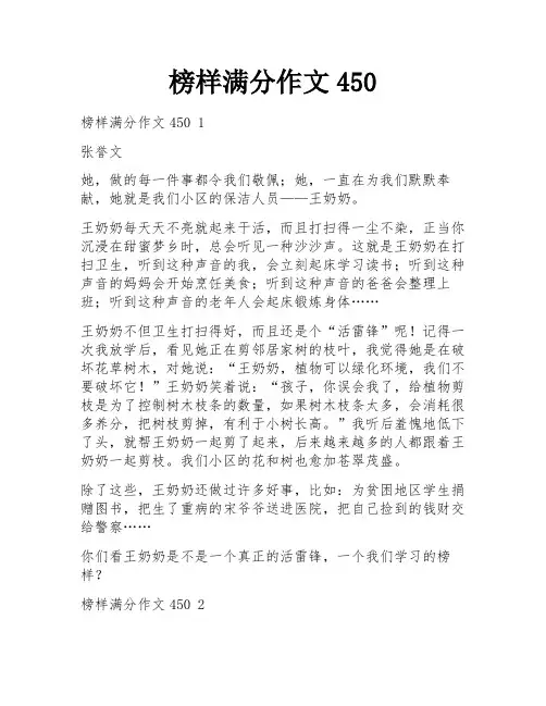 榜样满分作文450