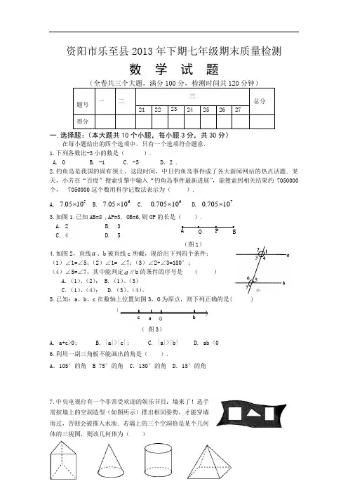 【初中数学】四川省资阳市乐至县2013年下期七年级期末质量检测数学试题 人教版