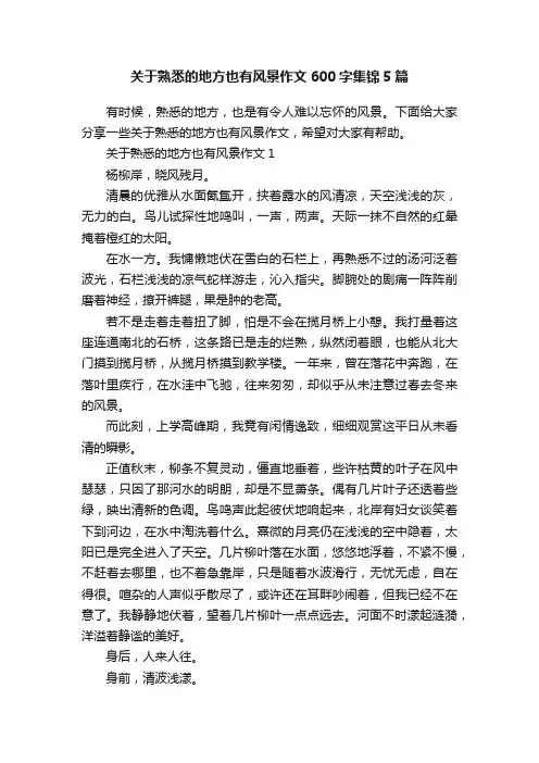 关于熟悉的地方也有风景作文600字集锦5篇