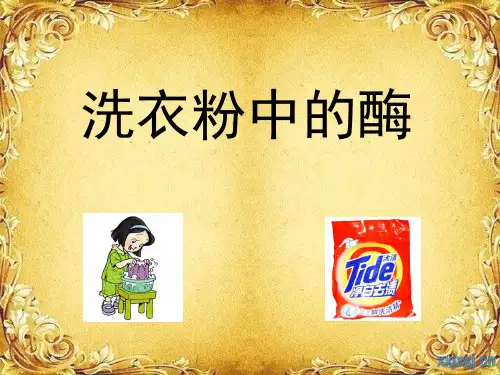 洗衣粉中的酶