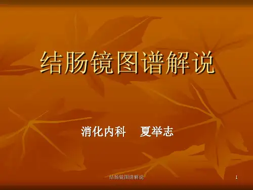 结肠镜图谱解说 ppt课件
