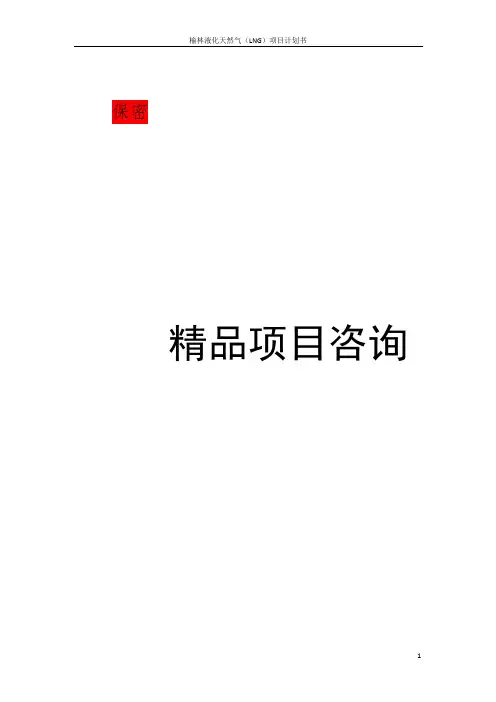 液化天然气(LNG)项目计划书