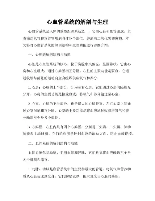 心血管系统的解剖与生理