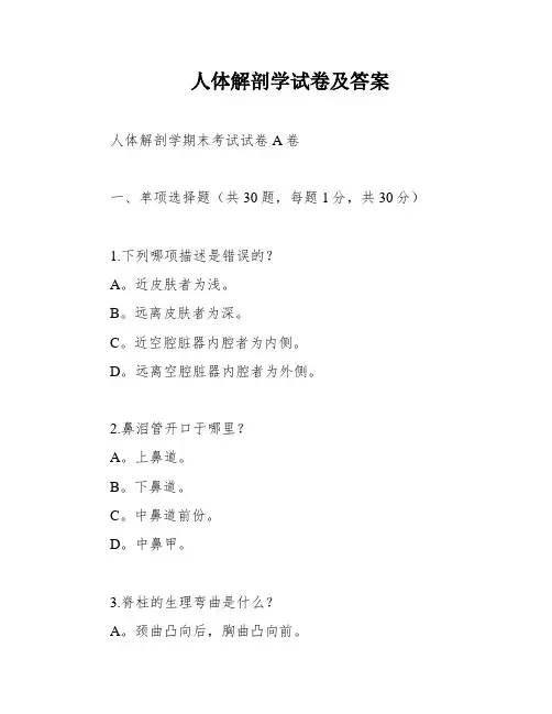 人体解剖学试卷及答案