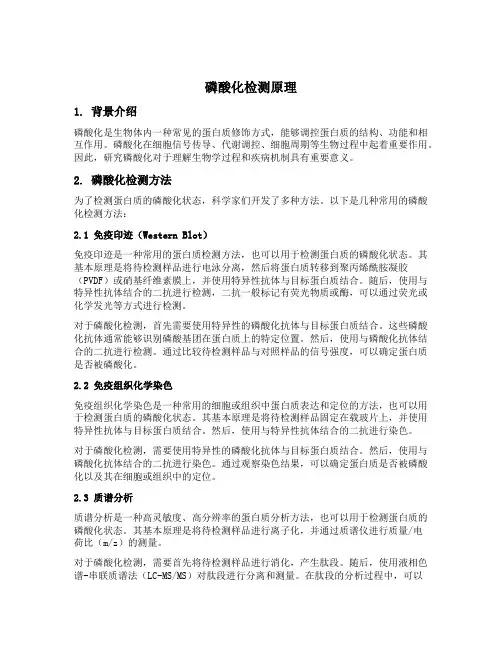 磷酸化检测原理
