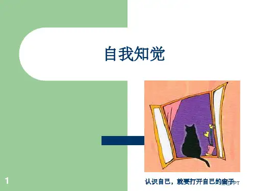 《自我知觉》PPT课件