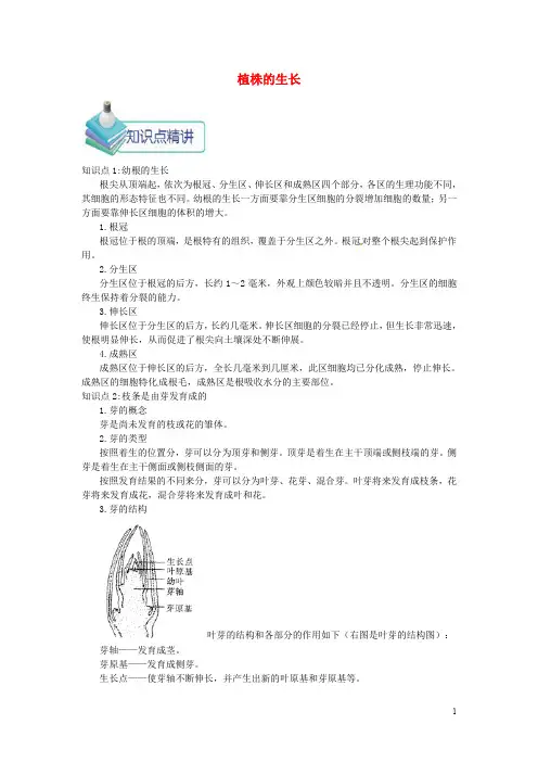七年级生物上册 3.2.3 植株的生长备课资料 (新版)新人教版