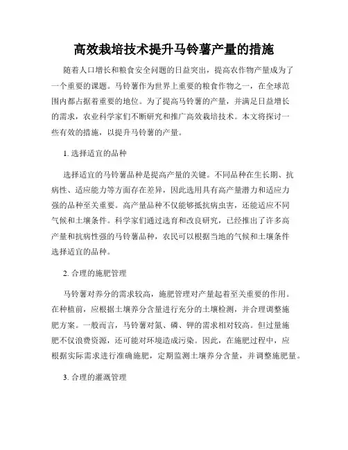 高效栽培技术提升马铃薯产量的措施
