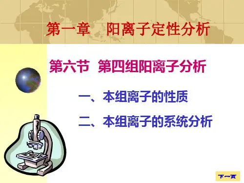 第六节 第四组阳离子分析