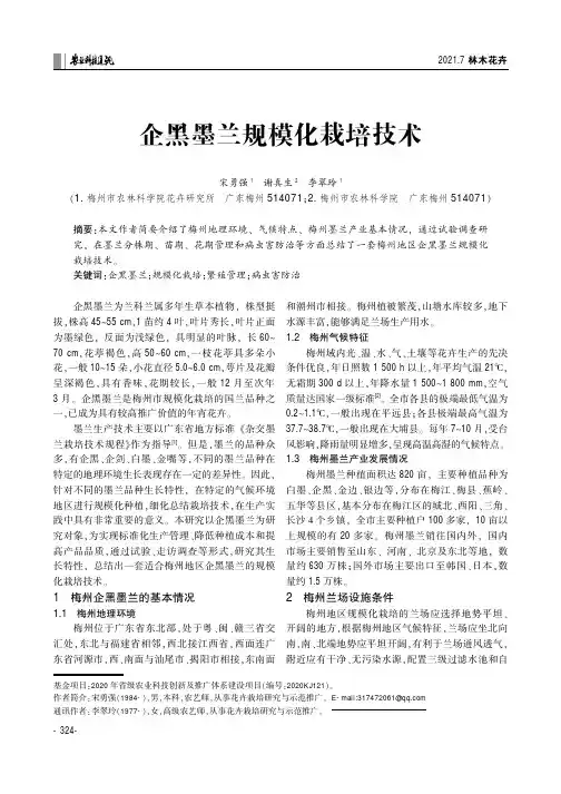 企黑墨兰规模化栽培技术