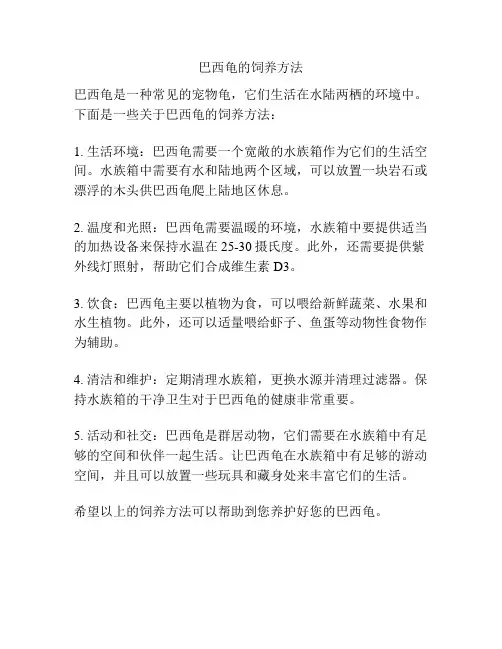 巴西龟的饲养方法