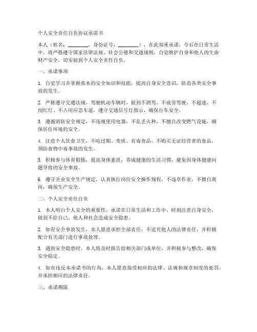 个人安全责任自负协议承诺书