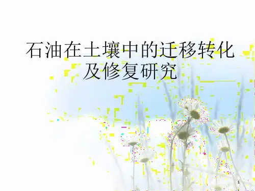 石油烃污染土壤PPT精选文档