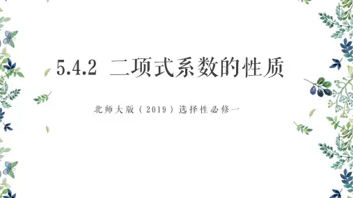 二项式系数的性质ppt课件