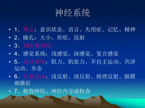神经功能评估PPT课件