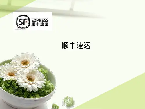 顺丰速运案例分析