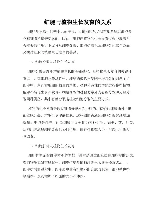细胞与植物生长发育的关系