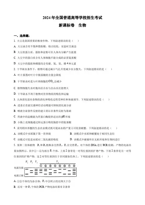 2024全国高考真题  新课标卷  生物+答案  纯Word版