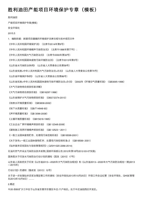 胜利油田产能项目环境保护专章（模板）