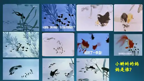 沪教版生物八年级第二册 4.2.1 鱼类 课件 