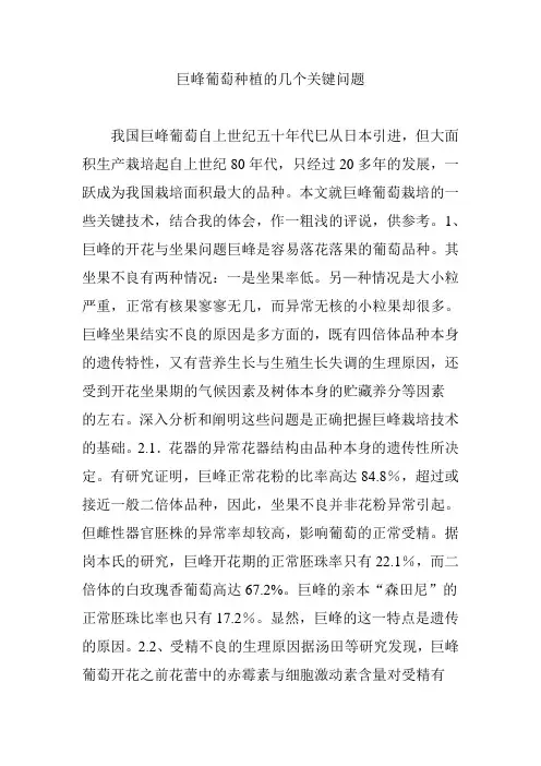 巨峰葡萄种植的几个关键问题
