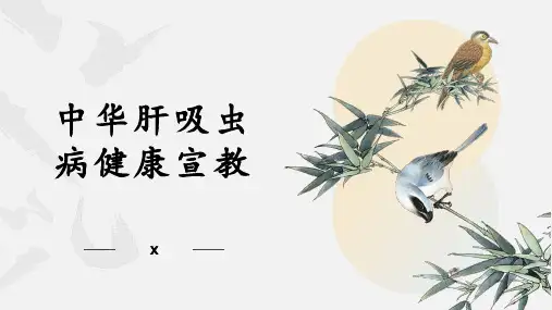 中华肝吸虫病健康宣教