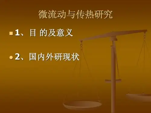 微流动与传热研究