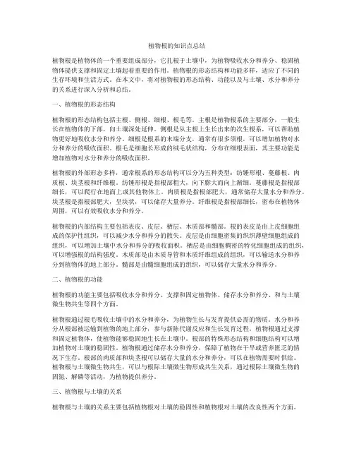 植物根的知识点总结