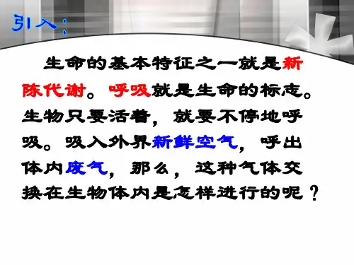 3.5.1生物的呼吸和呼吸作用