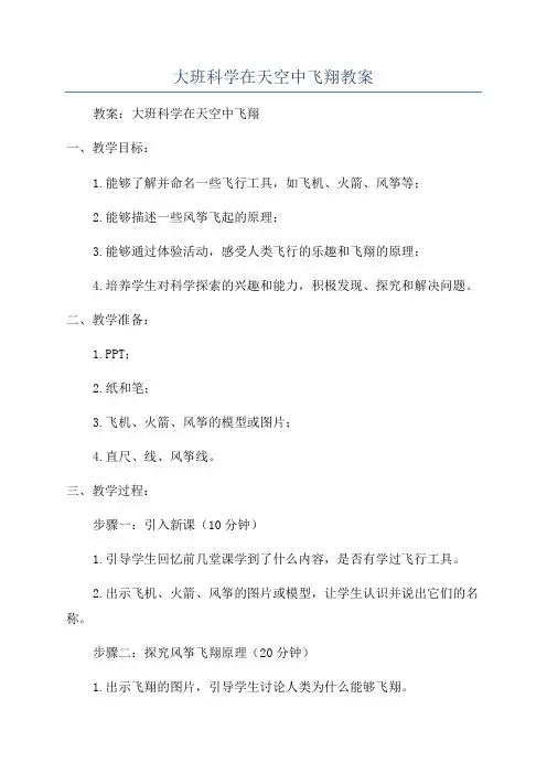 大班科学在天空中飞翔教案
