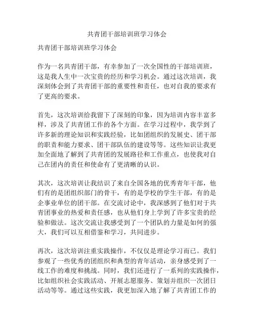 共青团干部培训班学习体会