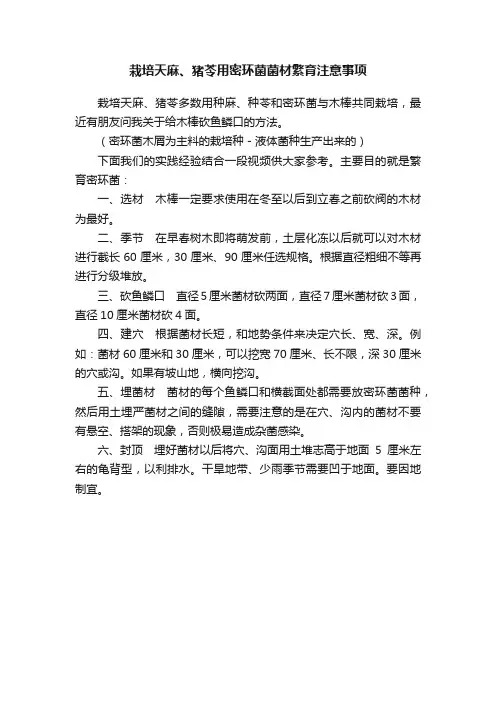 栽培天麻、猪苓用密环菌菌材繁育注意事项