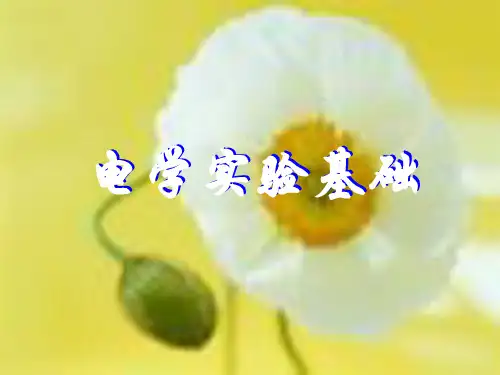 高考物理复习电学实验专题讲座课件