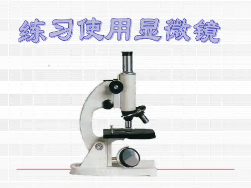 冀少版生物七年级上册第一单元第一章第一节 走进生物实验室