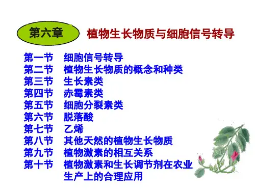 植物生理学 第7章 信号转导