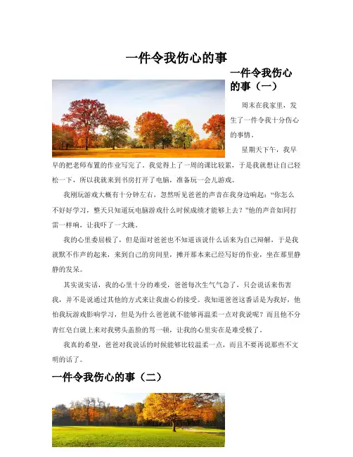 一件令我伤心的事(共10篇)