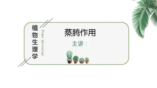 植物生理蒸腾作用.pptx