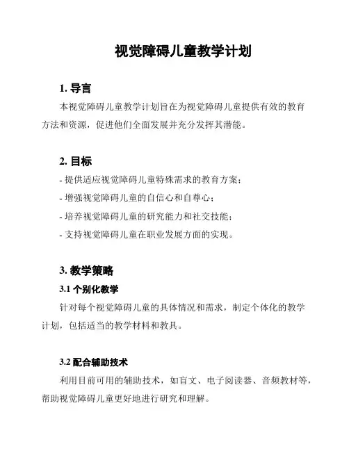 视觉障碍儿童教学计划